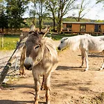 Farma Mlýn Drásov Agroturismo Drasov