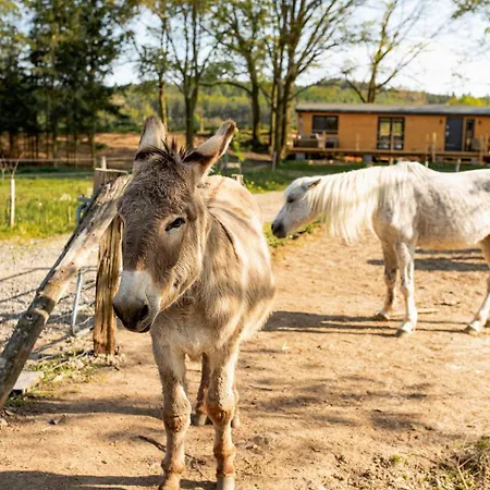 Farma Mlyn Séjour à la ferme Drasov