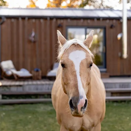Farma Mlyn *