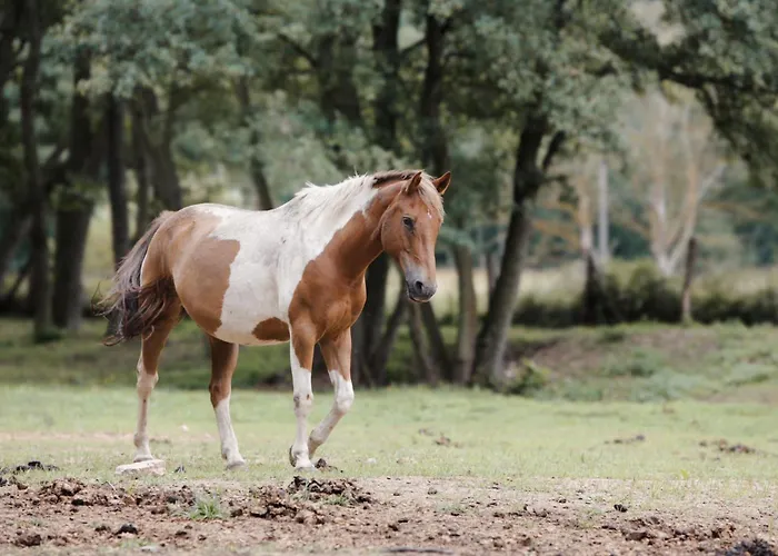 Farma Mlyn Séjour à la ferme