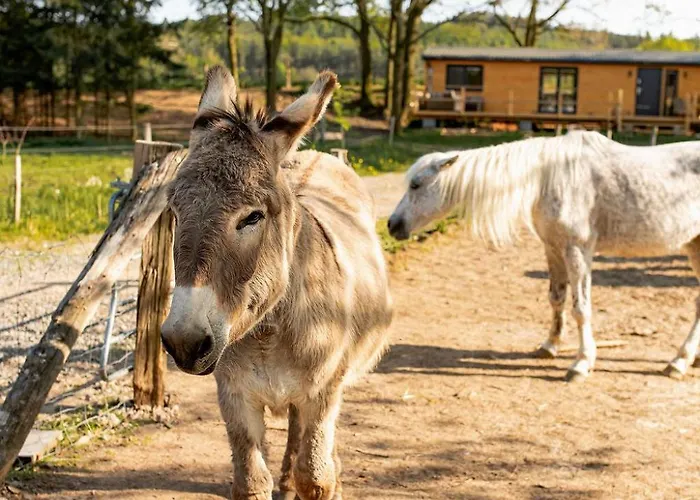 Farma Mlyn Lantgård Drasov